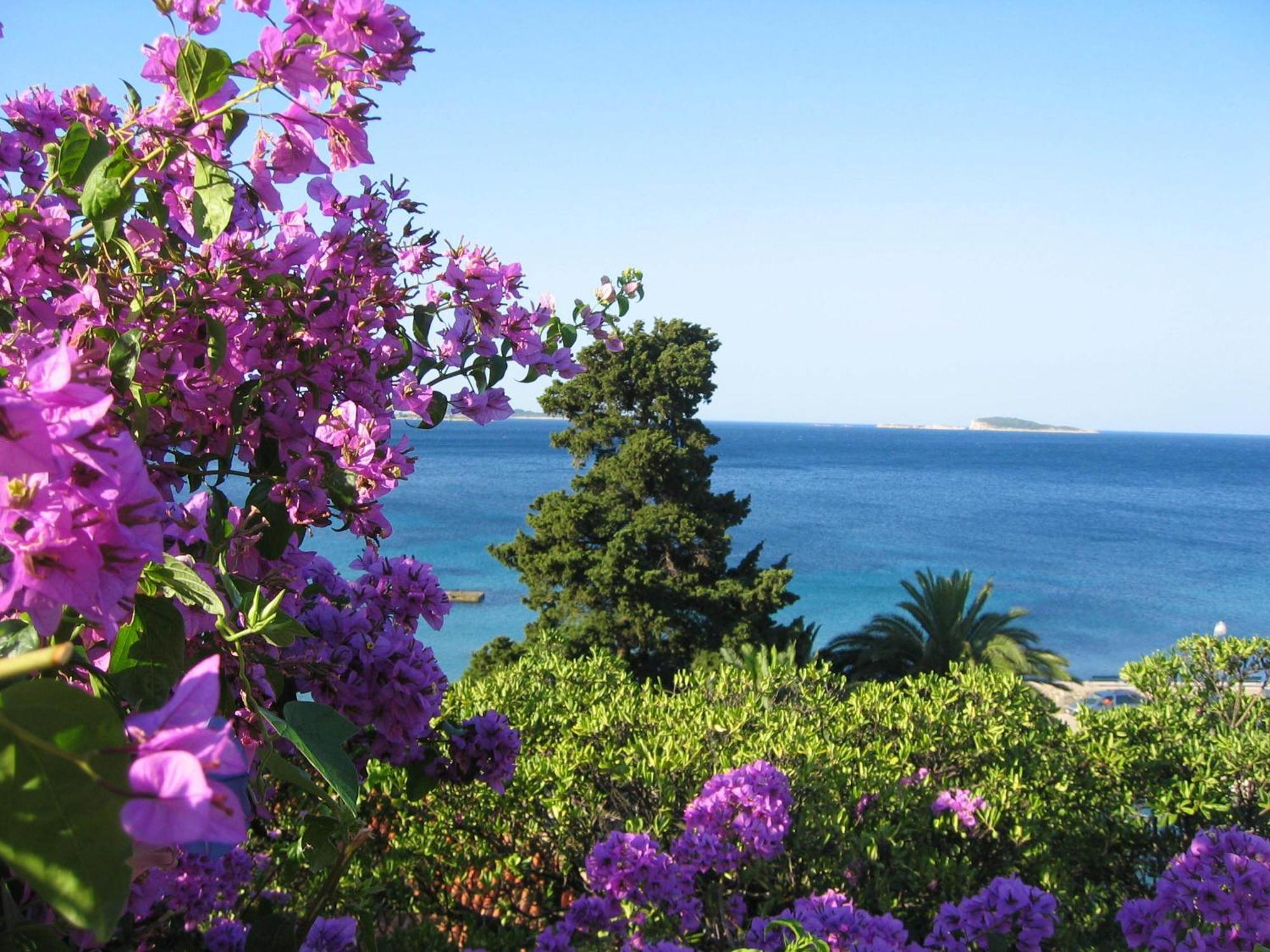 Villa Fede Mlini Bagian luar foto