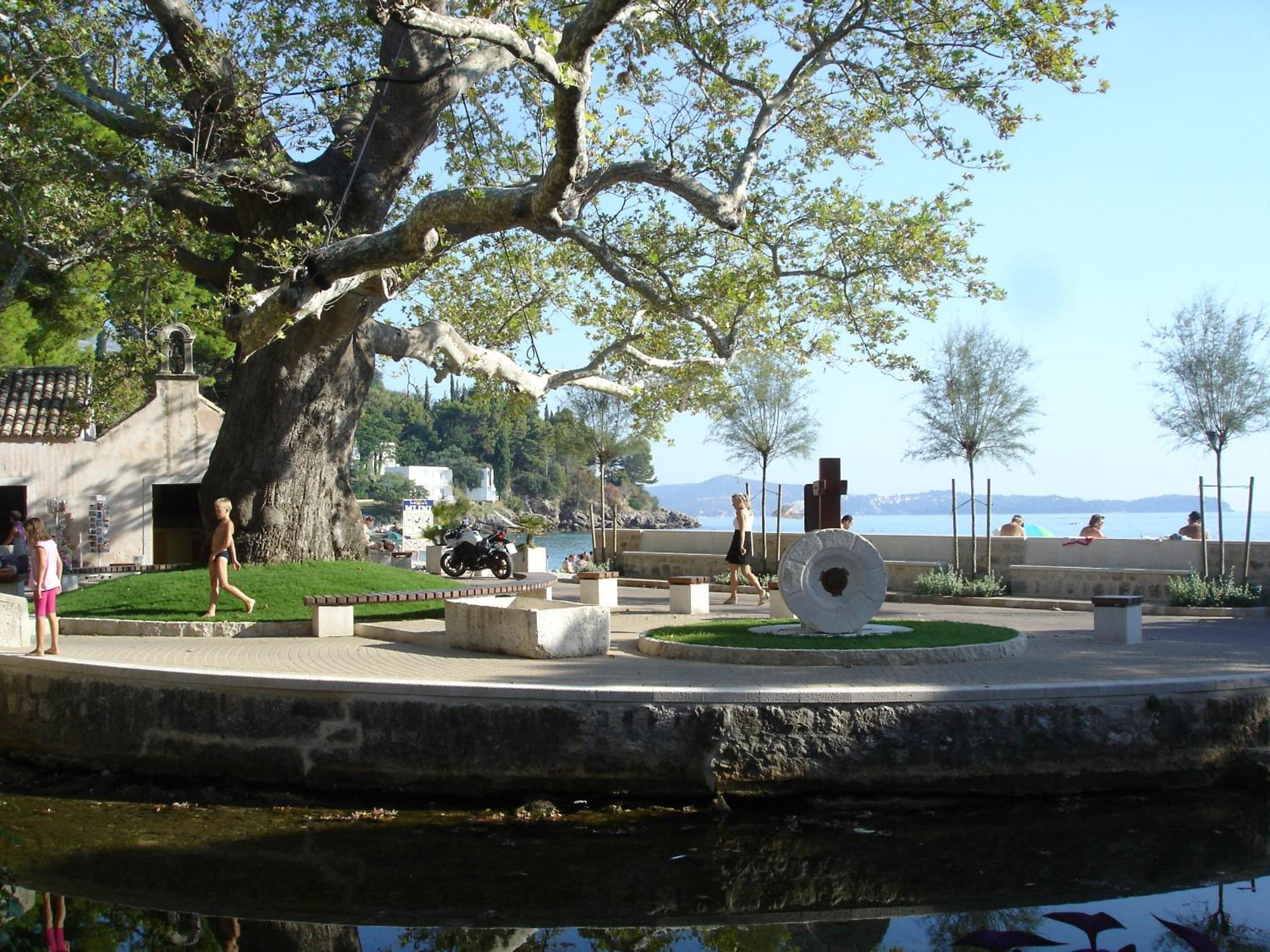 Villa Fede Mlini Bagian luar foto