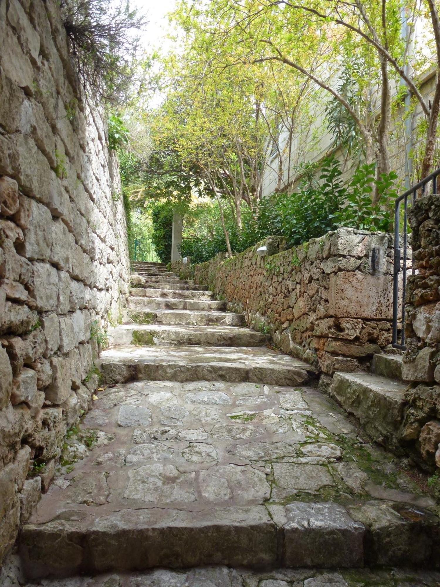 Villa Fede Mlini Bagian luar foto