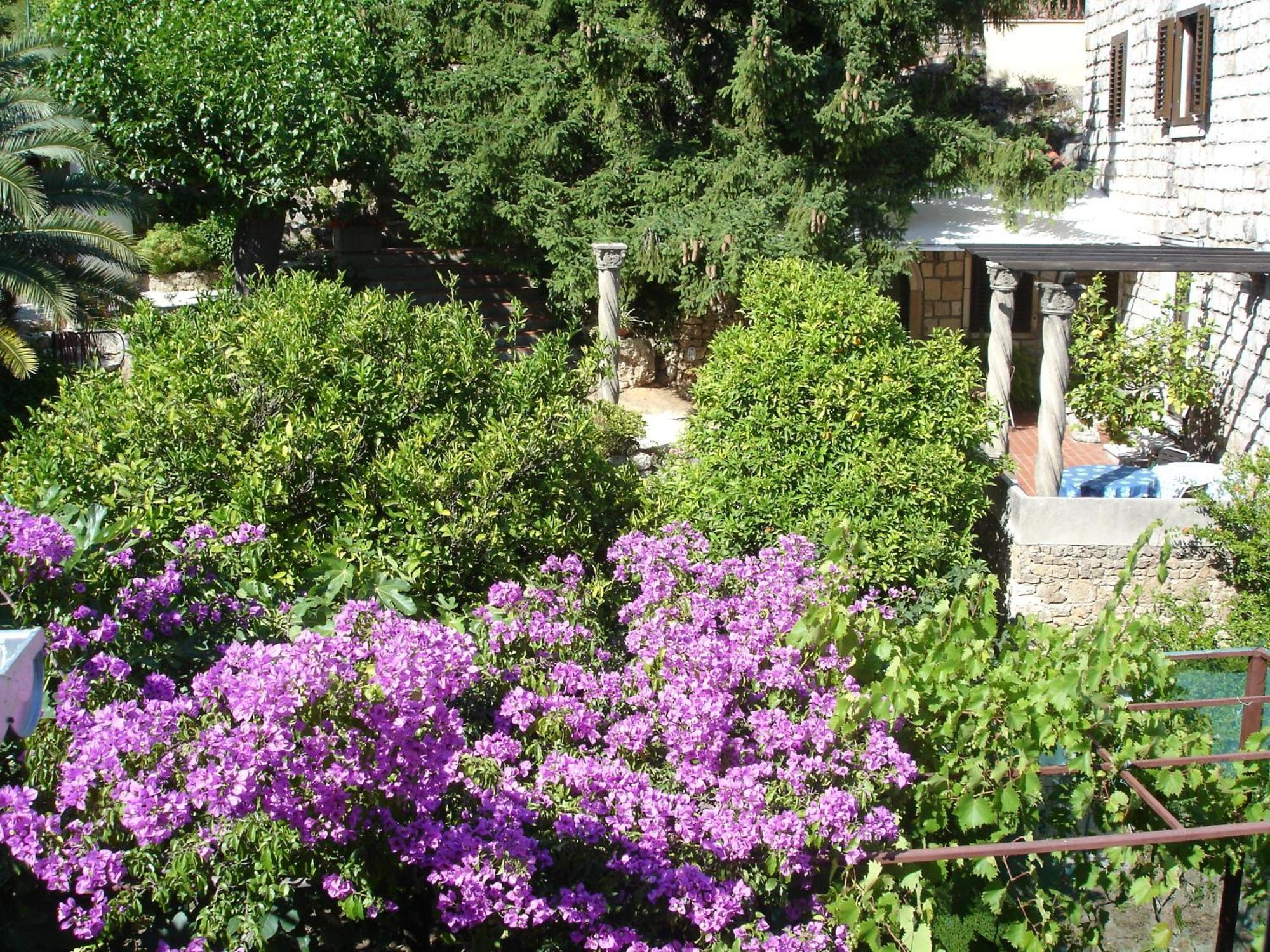 Villa Fede Mlini Bagian luar foto